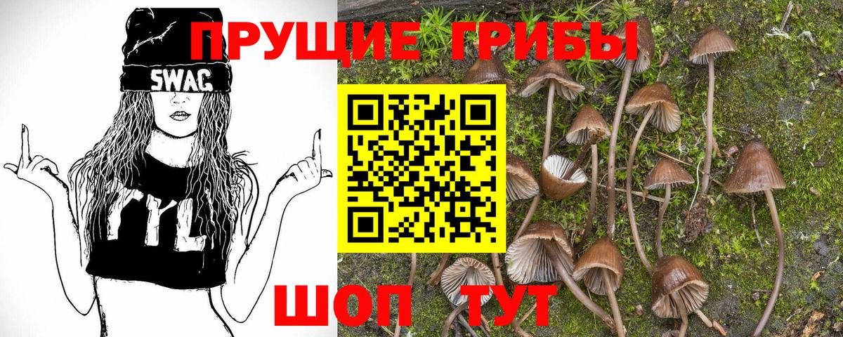 Псилоцибиновые грибы Magic Shrooms  Вход с VPN  Лыткарино 